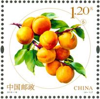 水果（二）特种邮票——杏