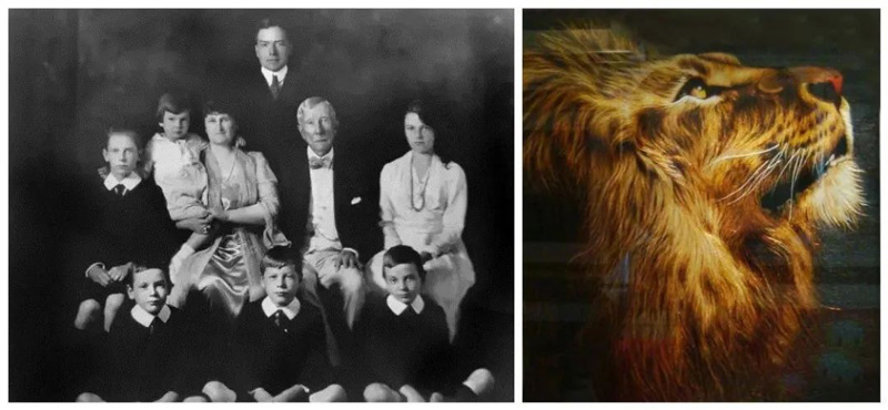 图|洛克菲勒家族收藏苏绣作品《雄狮》，图源于网络